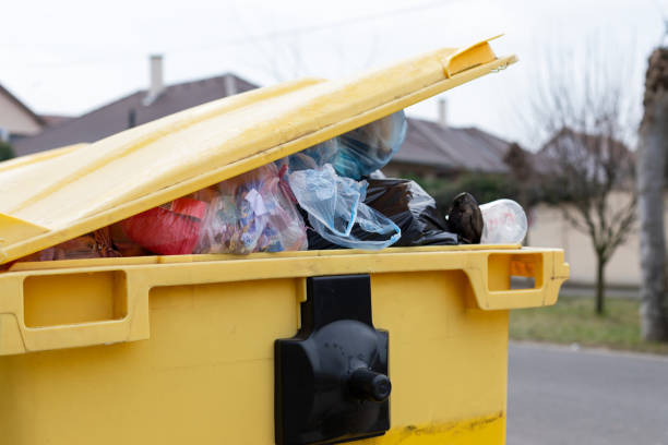 Best Yard Waste Removal  in Kissee Mills, MO